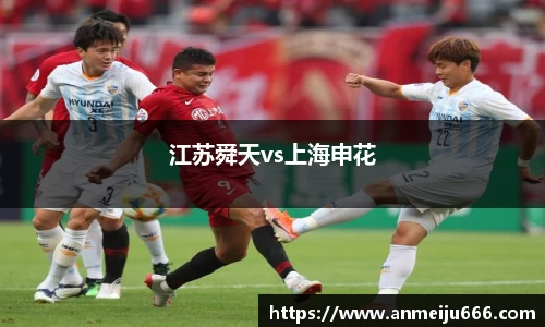 江苏舜天vs上海申花