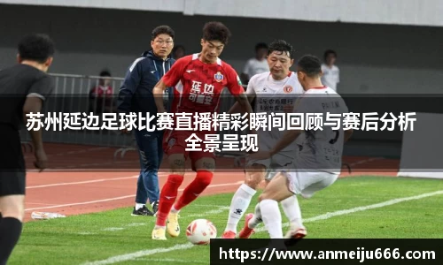 苏州延边足球比赛直播精彩瞬间回顾与赛后分析全景呈现